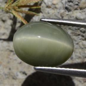 Quartz Cat's Eye Gemstone in 11.9 x 9.4 mm Size for Sale, Quartz Cat's Eye Stone in Medium Green Color