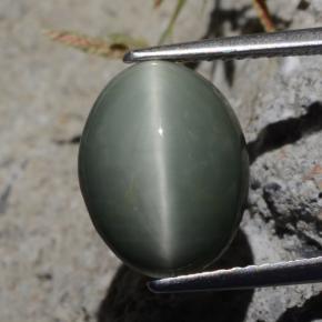 5.29 ct Green Quartz Cat's Eye Gemstone, Quartz Cat's Eye Gem in Oval Cabochon Shape for Sale.