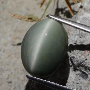 5.29 ct Green Quartz Cat's Eye Stone, Natural Quartz Cat's Eye in Oval Cabochon Shape for Sale