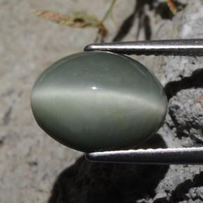 Quartz Cat's Eye Gemstone in 12.2 x 9.5 mm Size for Sale, Quartz Cat's Eye Stone in Green Color