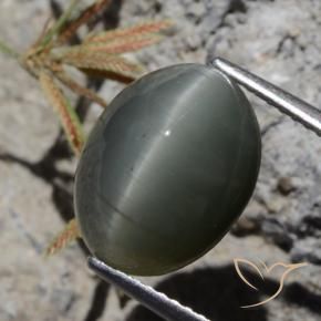 6.97 ct Gray Quartz Cat's Eye Stone, Natural Quartz Cat's Eye in Oval Cabochon Shape for Sale