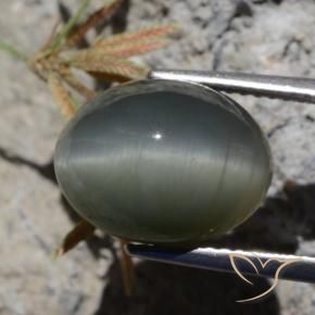 Quartz Cat's Eye Gemstone in 12.7 x 9.8 mm Size for Sale, Quartz Cat's Eye Stone in Dark Grey Color