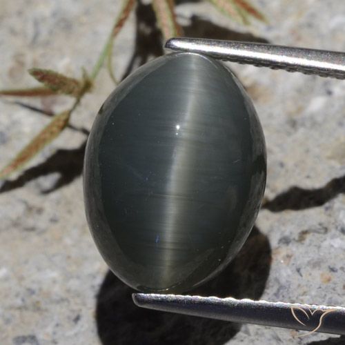 6.13 ct Oval Quartz Cat's Eye, 12.5 x 9.4 mm From Sri Lanka, Photo A