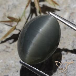 6.13 ct Gray Quartz Cat's Eye Stone, Natural Quartz Cat's Eye in Oval Cabochon Shape for Sale
