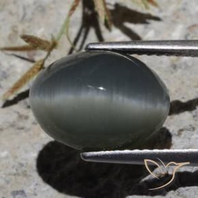 Quartz Cat's Eye Gemstone in 13 x 9 mm (calibrated) Size for Sale, Quartz Cat's Eye Stone in Steel Grey Color