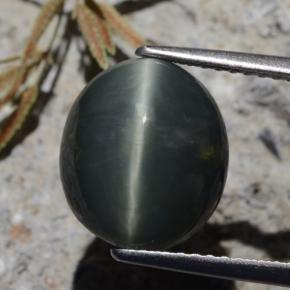 tiefgrün Quarz-Katzenauge Edelstein - 6.2ct Oval Cabochon (ID: 472171)