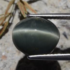 Quartz Cat's Eye Gemstone in 11.2 x 9.9 mm Size for Sale, Quartz Cat's Eye Stone in Deep Green Color