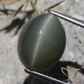 8.10 ct Gray Quartz Cat's Eye Stone, Natural Quartz Cat's Eye in Oval Cabochon Shape for Sale