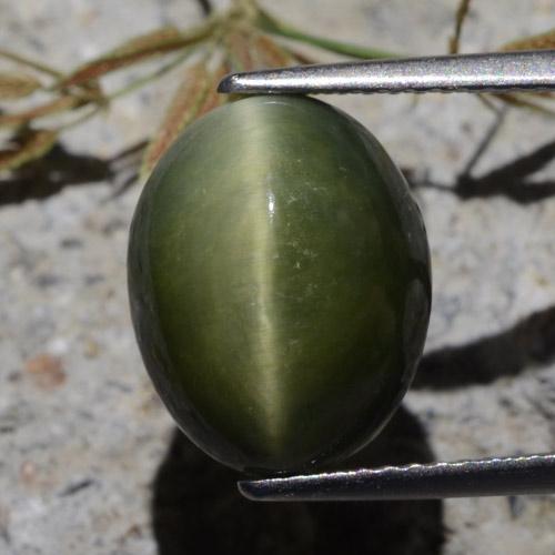 Cuarzo Ojo de Gato Verde Cabujón Óvalo de 12,5 x 9,9mm de Sri Lanka, peso de 7 ct, piedra preciosa natural No tratado en claridad Opaco, Cuarzo Ojo de Gato de 1 pieza - Color: Verde militar, dureza Mohs de 7 Adecuado para joyas de uso diario, Photo A