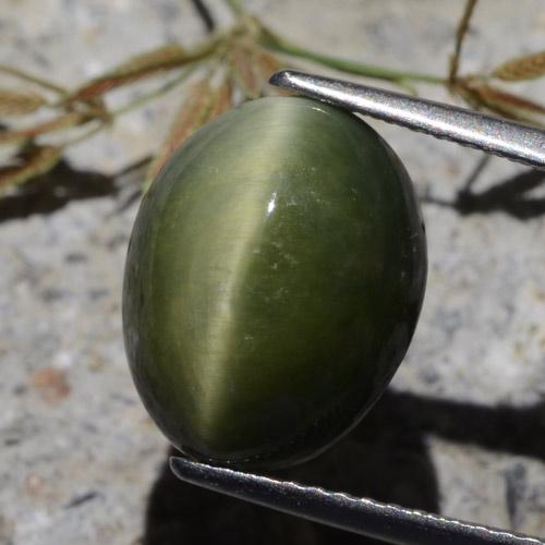 7.00 ct Green Quartz Cat's Eye Stone, Natural Quartz Cat's Eye in Oval Cabochon Shape for Sale