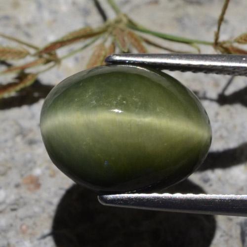 Quartz Cat's Eye Gemstone in 12.5 x 9.9 mm Size for Sale, Quartz Cat's Eye Stone in Army Green Color