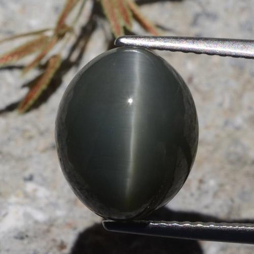 Steel Grey Quartz Cat's Eye Gem - 7.3ct Oval Cabochon (ID: 472174)
