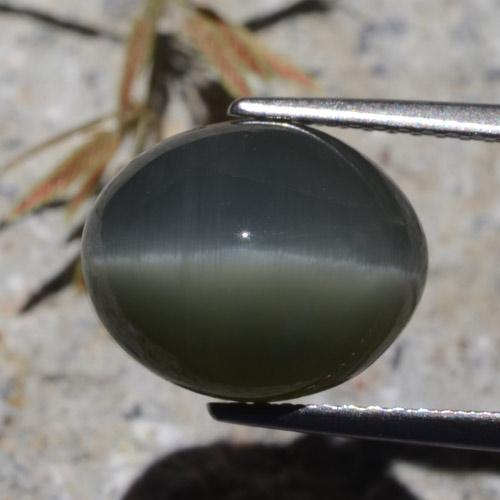 Quartz Cat's Eye Gemstone in 12 x 10 mm (calibrated) Size for Sale, Quartz Cat's Eye Stone in Dark Grey Color