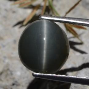 5.62 ct Green Quartz Cat's Eye Gemstone, Quartz Cat's Eye Gem in Oval Cabochon Shape for Sale.