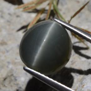 5.62 ct Green Quartz Cat's Eye Stone, Natural Quartz Cat's Eye in Oval Cabochon Shape for Sale