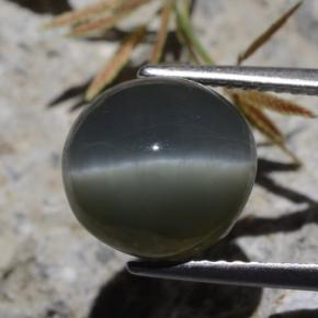 Quartz Cat's Eye Gemstone in 10.1 x 9.6 mm Size for Sale, Quartz Cat's Eye Stone in Green Color