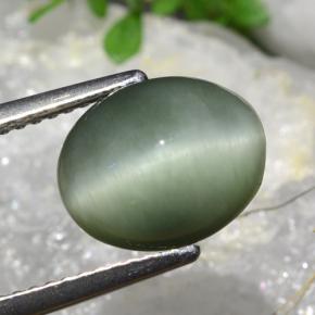 Quartz Cat's Eye Gemstone in 11 x 9 mm (calibrated) Size for Sale, Quartz Cat's Eye Stone in Grayish Moss Green Color