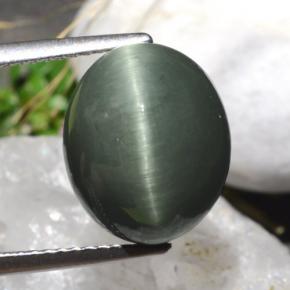 7.61 ct Green Quartz Cat's Eye Gemstone, Quartz Cat's Eye Gem in Oval Cabochon Shape for Sale.