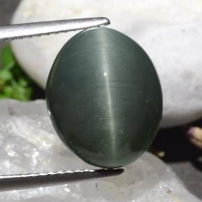 9.50 ct Green Quartz Cat's Eye Gemstone, Quartz Cat's Eye Gem in Oval Cabochon Shape for Sale.