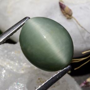 3.39 ct Green Quartz Cat's Eye Stone, Natural Quartz Cat's Eye in Oval Cabochon Shape for Sale