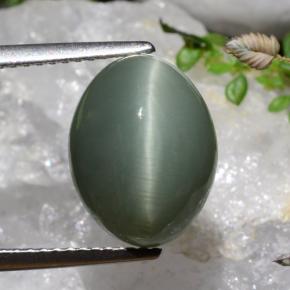 Medium-Deep Green Quartz Cat's Eye Gem - 7.2ct Oval Cabochon (ID: 472328)