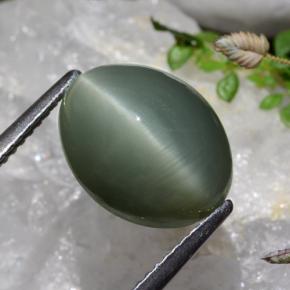 7.17 ct Green Quartz Cat's Eye Stone, Natural Quartz Cat's Eye in Oval Cabochon Shape for Sale