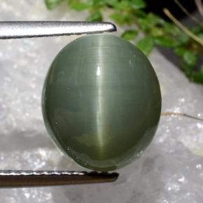 5.99 ct Green Quartz Cat's Eye Gemstone, Quartz Cat's Eye Gem in Oval Cabochon Shape for Sale.