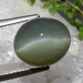 Quartz Cat's Eye Gemstone in 11.2 x 9.6 mm Size for Sale, Quartz Cat's Eye Stone in Greenish Grey Color