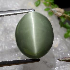 Verde musgo grisáceo Cuarzo Ojo de Gato Gema - 6.9ct Cabujón Óvalo (ID: 472330)