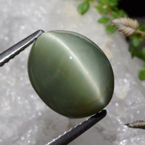 6.89 ct Green Quartz Cat's Eye Stone, Natural Quartz Cat's Eye in Oval Cabochon Shape for Sale