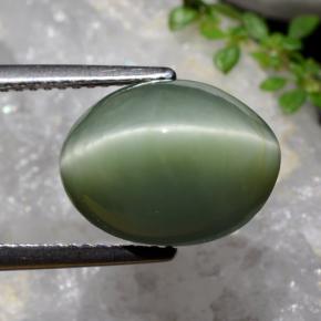 Quartz Cat's Eye Gemstone in 12.8 x 10.2 mm Size for Sale, Quartz Cat's Eye Stone in Grayish Moss Green Color