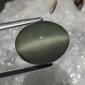 Quartz Cat's Eye Gemstone in 12 x 10 mm (calibrated) Size for Sale, Quartz Cat's Eye Stone in Grayish Green Color