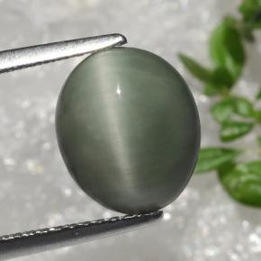 3.7ct Oval Cabochon Green Quartz Cat's Eye for sale thumb image of 3.7ct Oval Cabochon Green Quartz Cat's Eye (ID: 472345)