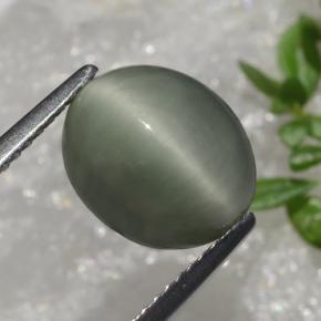 3.66 ct Green Quartz Cat's Eye Stone, Natural Quartz Cat's Eye in Oval Cabochon Shape for Sale