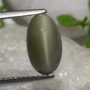 2.6ct Oval Cabochon Green Quartz Cat's Eye for sale thumb image of 2.6ct Oval Cabochon Green Quartz Cat's Eye (ID: 472346)