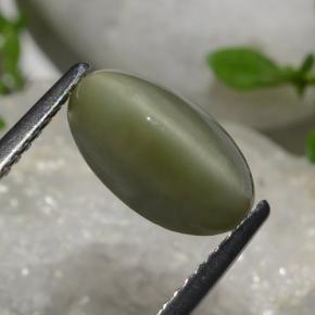 2.64 ct Green Quartz Cat's Eye Stone, Natural Quartz Cat's Eye in Oval Cabochon Shape for Sale