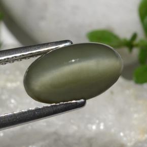 Quartz Cat's Eye Gemstone in 10.8 x 6.2 mm Size for Sale, Quartz Cat's Eye Stone in Green Color