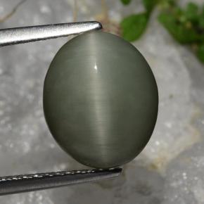 3.7ct Oval Cabochon Green Quartz Cat's Eye Gem for sale 3.7ct Oval Cabochon Green Quartz Cat's Eye Gem (ID: 472351)