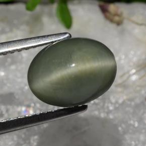 Quartz Cat's Eye Gemstone in 10 x 7.6 mm Size for Sale, Quartz Cat's Eye Stone in Green Color
