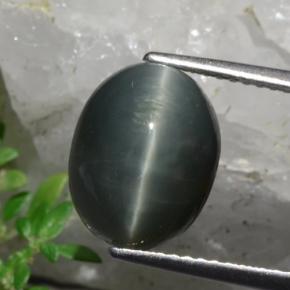 Dark Grey Quartz Cat's Eye Gem - 5.9ct Oval Cabochon (ID: 472392)