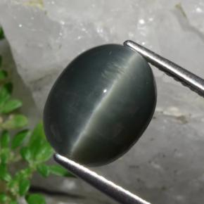 5.87 ct Gray Quartz Cat's Eye Stone, Natural Quartz Cat's Eye in Oval Cabochon Shape for Sale