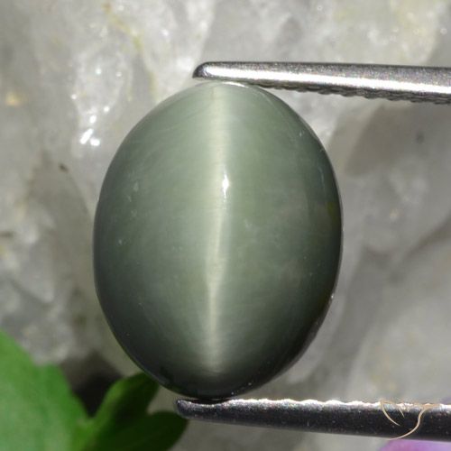 4.75 ct Oval Quartz Cat's Eye, 11.6 x 9.2 mm From Sri Lanka, Photo A