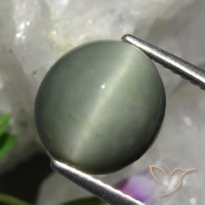 5.48 ct Green Quartz Cat's Eye Stone, Natural Quartz Cat's Eye in Oval Cabochon Shape for Sale