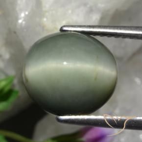 Quartz Cat's Eye Gemstone in 10.9 x 10 mm Size for Sale, Quartz Cat's Eye Stone in Medium Grey Color
