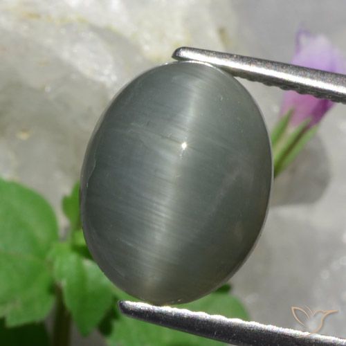 Cuarzo Ojo de Gato Gris Ovalada de 12 x 9,3mm de Sri Lanka, peso de 4.89 ct, piedra preciosa natural No tratado en Opaco Clarity, Cuarzo Ojo de Gato Cabujón Óvalo de 1 pieza - Color: Verde medio, dureza Mohs de 7 Adecuado para joyas de uso diario, Photo A