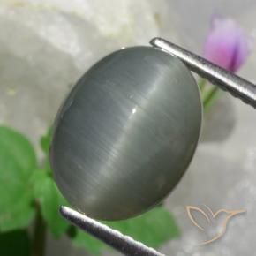 4.89 ct Gray Quartz Cat's Eye Stone, Natural Quartz Cat's Eye in Oval Cabochon Shape for Sale
