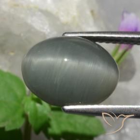 Quartz Cat's Eye Gemstone in 12 x 9.3 mm Size for Sale, Quartz Cat's Eye Stone in Medium Grey Color
