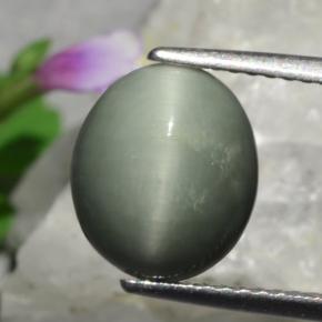 3ct Oval Cabochon Green Quartz Cat's Eye Gem for sale 3ct Oval Cabochon Green Quartz Cat's Eye Gem (ID: 472398)