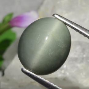 3.01 ct Green Quartz Cat's Eye Stone, Natural Quartz Cat's Eye in Oval Cabochon Shape for Sale