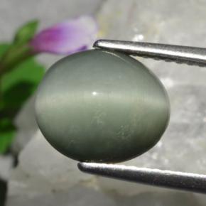 Quartz Cat's Eye Gemstone in 10.3 x 8.8 mm Size for Sale, Quartz Cat's Eye Stone in Medium Grey Color